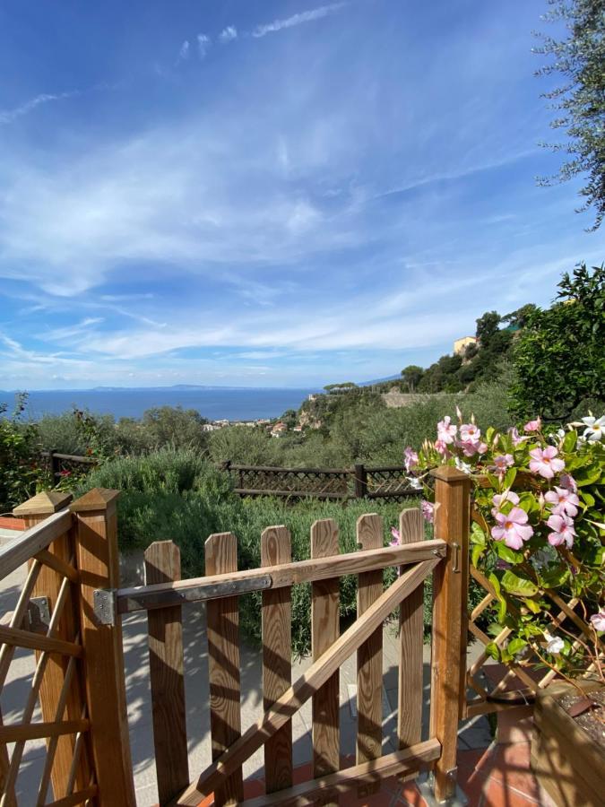 Orange Moderno Tra Gli Ulivi Di Holiday home *
