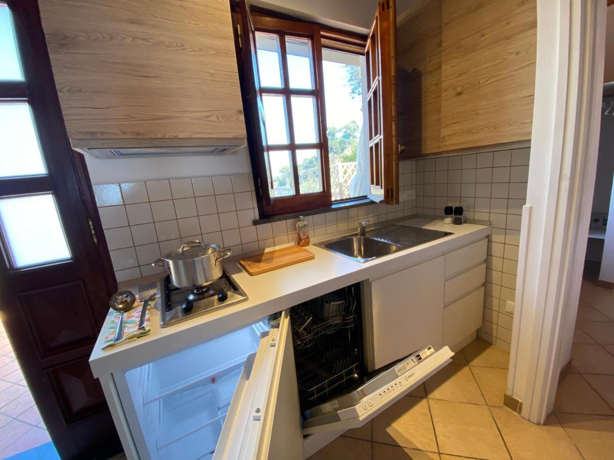 Holiday home Orange Moderno Tra Gli Ulivi Di Sorrento