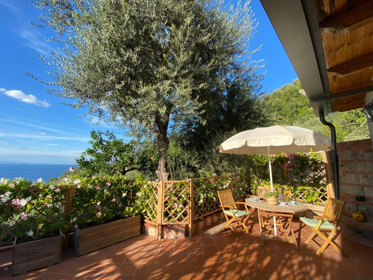 Orange Moderno Tra Gli Ulivi Di Holiday home Sorrento