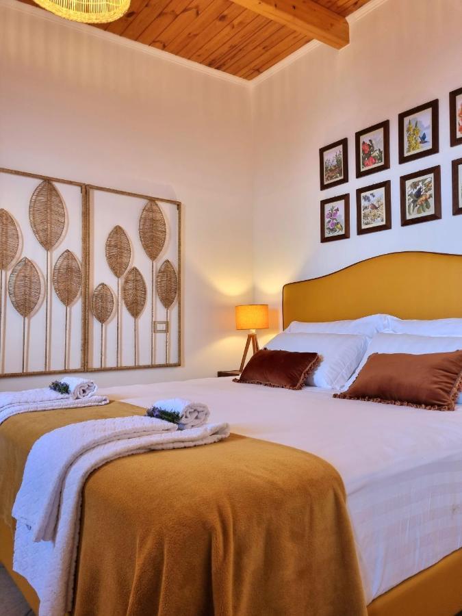 Orange Moderno Tra Gli Ulivi Di Holiday home