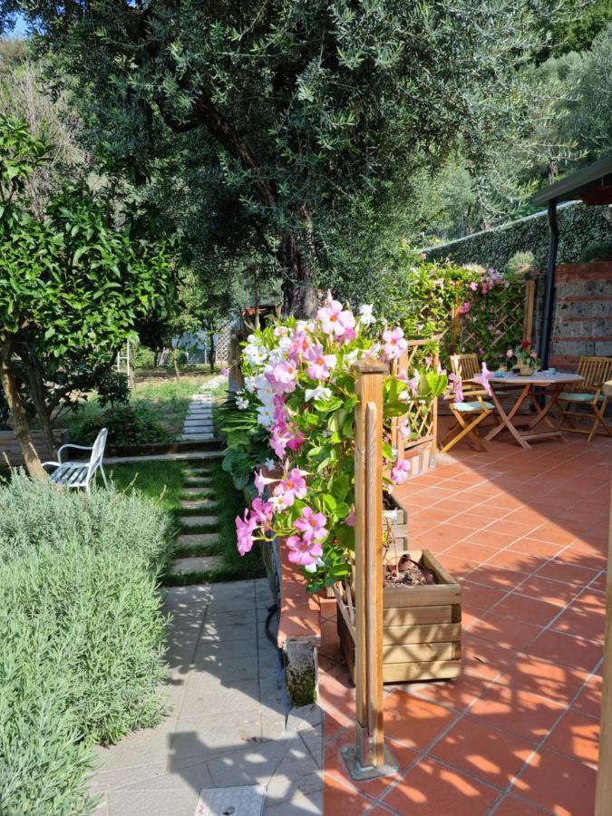 Holiday home Orange Moderno Tra Gli Ulivi Di