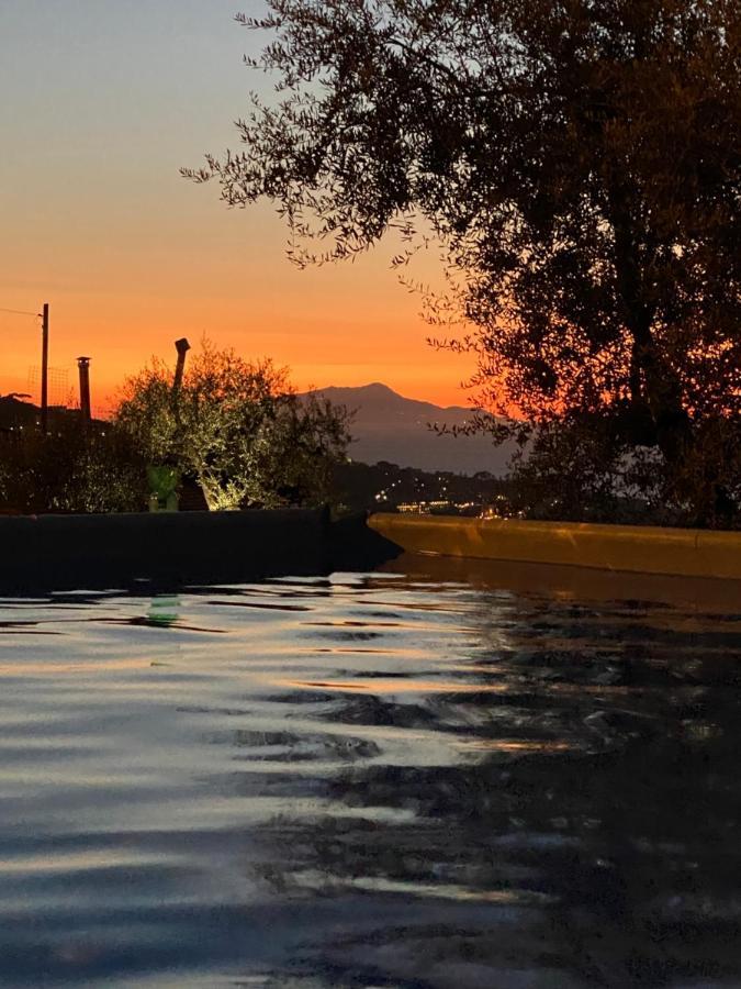 Orange Moderno Tra Gli Ulivi Di Holiday home