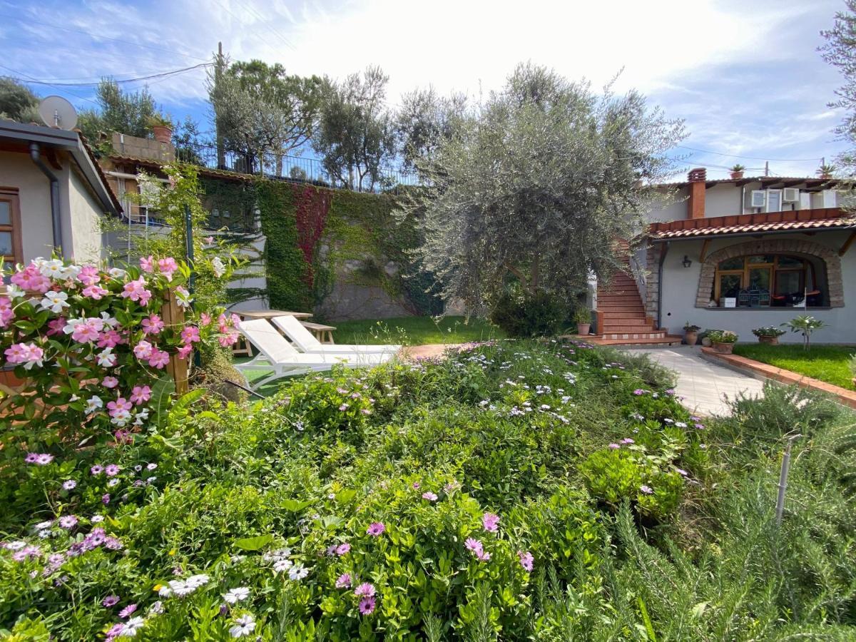 Holiday home Orange Moderno Tra Gli Ulivi Di *