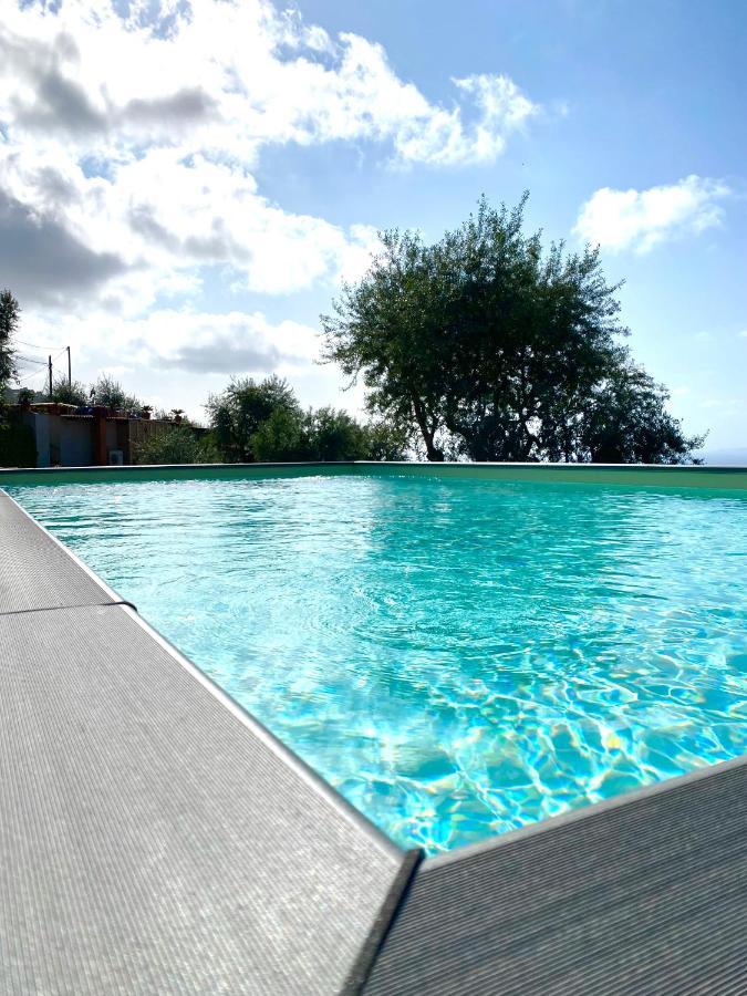 Holiday home Orange Moderno Tra Gli Ulivi Di Sorrento