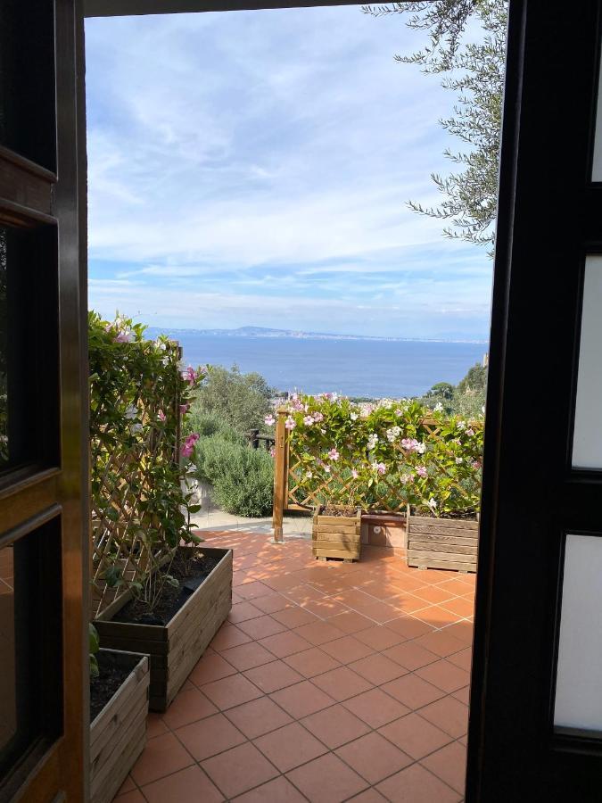 Orange Moderno Tra Gli Ulivi Di Holiday home